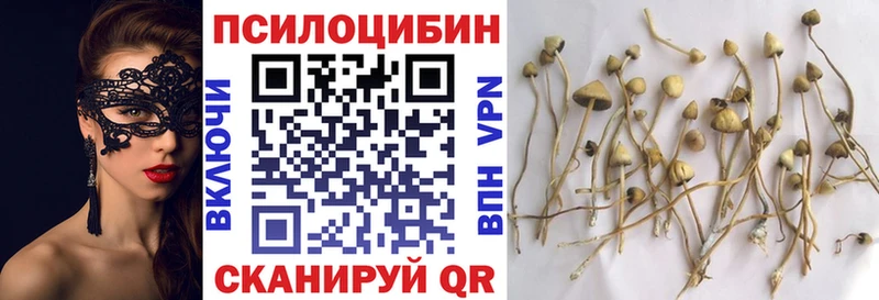Псилоцибиновые грибы Cubensis  Дегтярск 